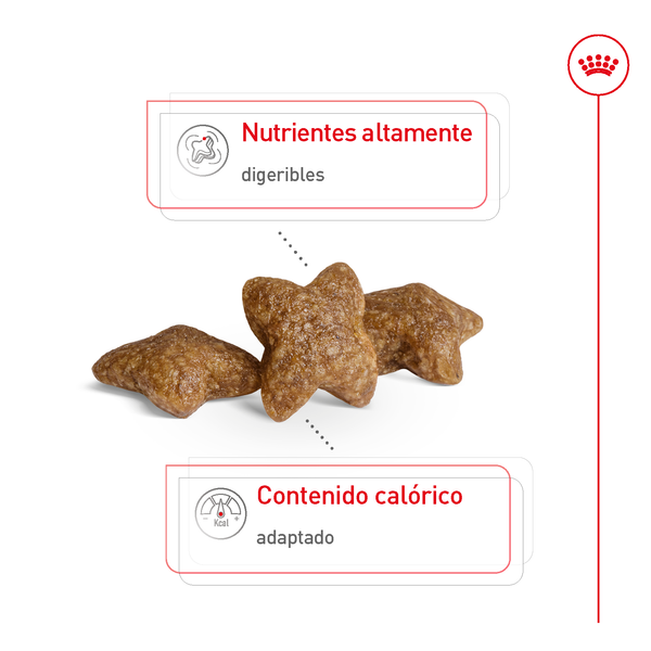 ALIMENTO SECO PERRO ADULTO PEQUEÑO 6.36 KG ROYAL CANIN