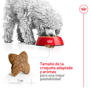 ALIMENTO SECO PERRO ADULTO PEQUEÑO 6.36 KG ROYAL CANIN