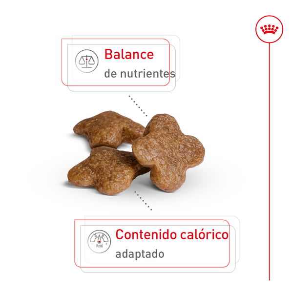 ALIMENTO SECO PARA PERROS RAZAS PEQUEÑAS SENIOR 1.1 KG ROYAL CANIN
