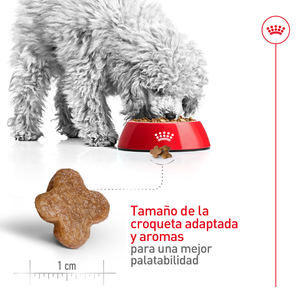 ALIMENTO SECO PARA PERROS RAZAS PEQUEÑAS SENIOR 1.1 KG ROYAL CANIN