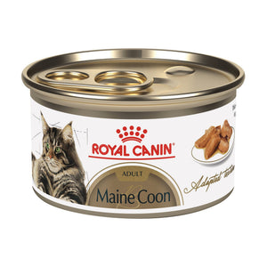 Royal Canin Maine Coon Adult alimento húmedo para gato Maine Coon adulto, lata de 85 g