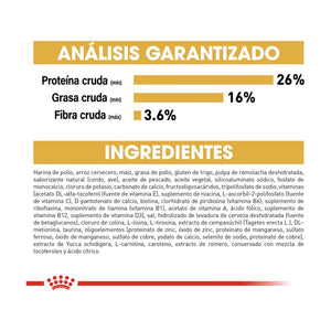 Royal Canin Shih Tzu Puppy alimento seco para cachorro Shih Tzu de 2 a 10 meses, 1.13 kg