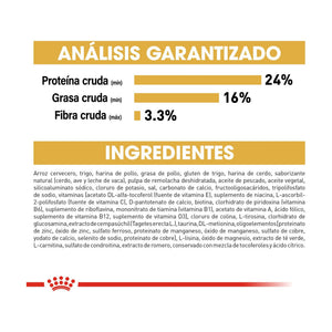 Royal Canin French Bulldog Adult alimento seco para perro Bulldog Francés adulto, 7.72 kg