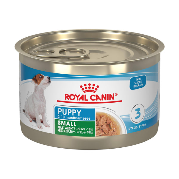Royal Canin Small Puppy alimento húmedo para cachorro de raza pequeña, rebanadas en salsa, lata de 145 g