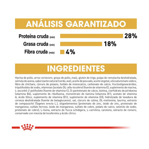 Royal Canin Chihuahua Puppy alimento seco para cachorro Chihuahua de 2 a 8 meses, 1.13 kg