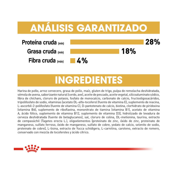 Royal Canin Chihuahua Puppy alimento seco para cachorro Chihuahua de 2 a 8 meses, 1.13 kg