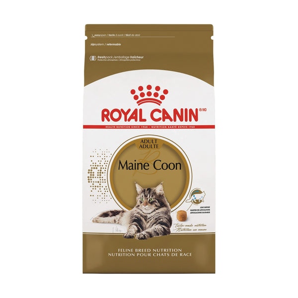 Royal Canin Maine Coon Adult alimento seco para gato Maine Coon adulto