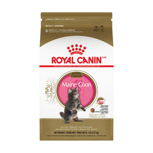 Royal Canin Maine Coon Kitten alimento seco para gatito Maine Coon hasta 15 meses, 1.37 kg