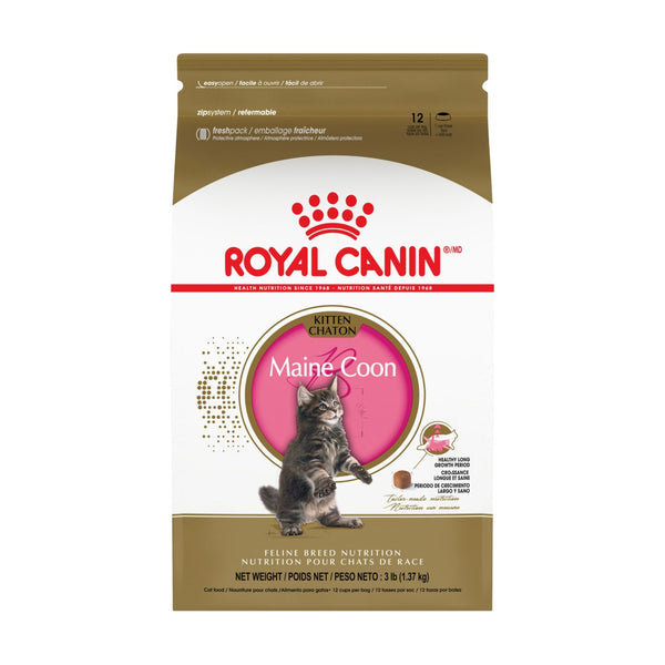 Royal Canin Maine Coon Kitten alimento seco para gatito Maine Coon hasta 15 meses, 1.37 kg