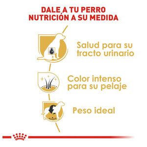 DRY DOG FOOD FOR SCHNAUZER BREED 4.5KG ROYAL CANIN