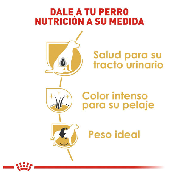 DRY DOG FOOD FOR SCHNAUZER BREED 4.5KG ROYAL CANIN