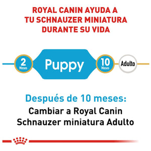 ALIMENTO SECO PARA CACHORRO SCHNAUZER 1.1KG  ROYAL CANIN