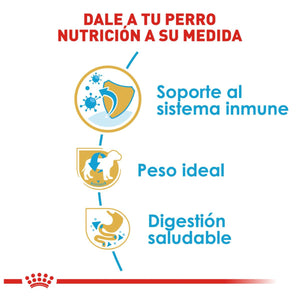 ALIMENTO SECO PARA CACHORRO SCHNAUZER 1.1KG  ROYAL CANIN