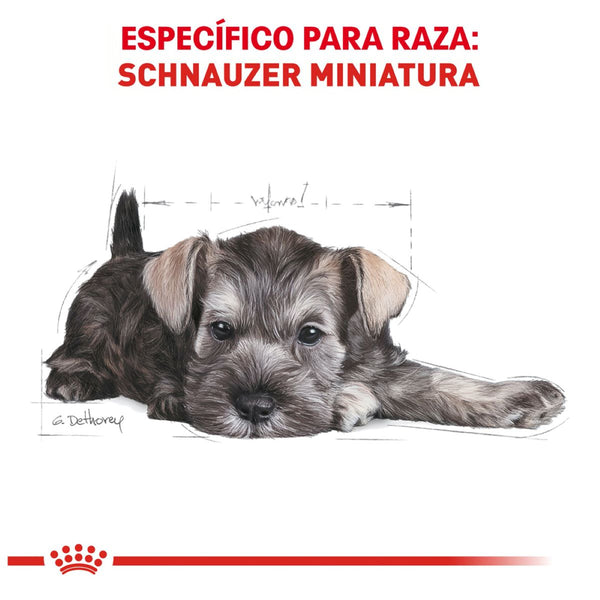 ALIMENTO SECO PARA CACHORRO SCHNAUZER 1.1KG  ROYAL CANIN