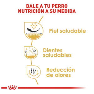 ROYAL CANIN SHIH TZU DRY DOG FOOD 1.13KG