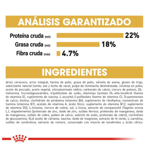 ROYAL CANIN SHIH TZU DRY DOG FOOD 1.13KG