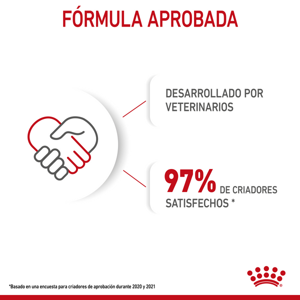 ROYAL CANIN SMALL BREED PUPPY DRY FOOD 6.36 KG