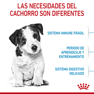 DRY DOG FOOD SMALL BREEDS 2KG ROYAL CANIN