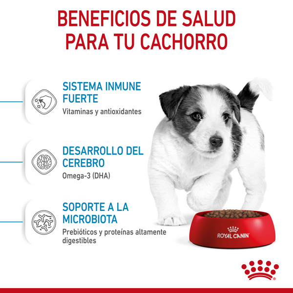 DRY DOG FOOD SMALL BREEDS 2KG ROYAL CANIN