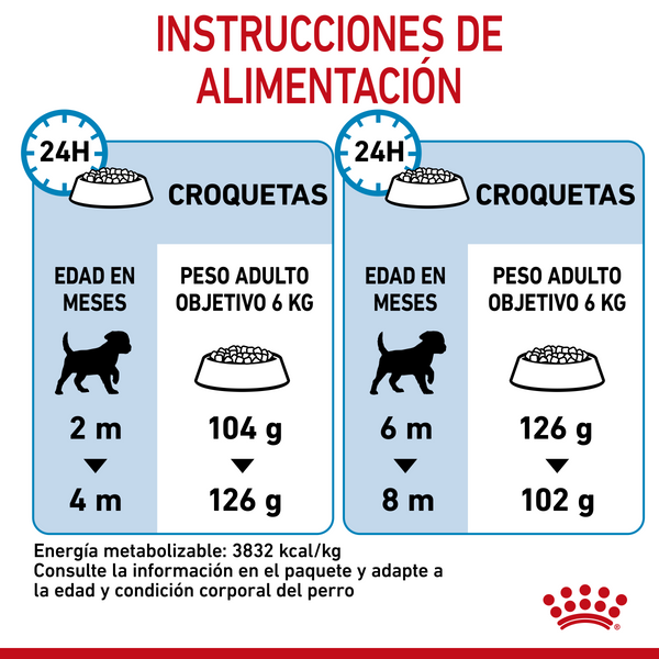 DRY DOG FOOD SMALL BREEDS 2KG ROYAL CANIN