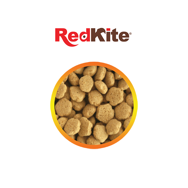 ALIMENTO PARA HAMSTER 450 G REDKITE