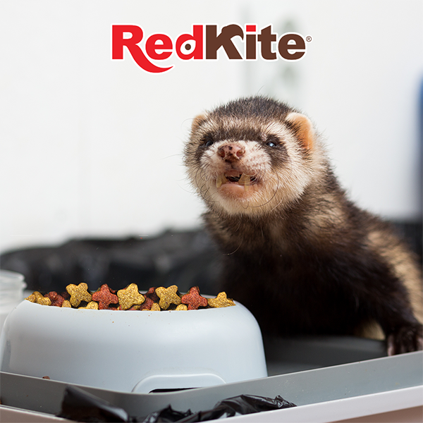 ALIMENTO HURON / FERRET DIET 1 KG REDKITE