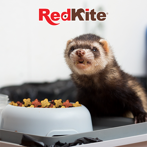 ALIMENTO HURON / FERRET DIET 1 KG REDKITE