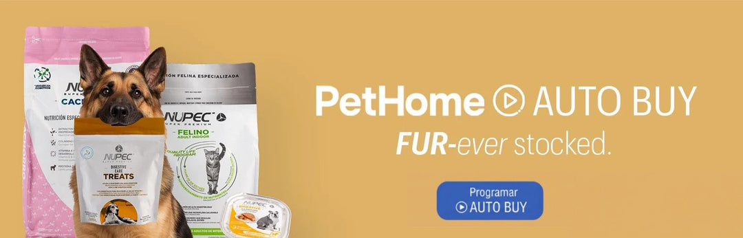 Pet Home