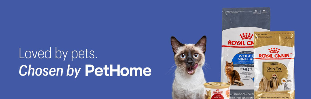 Pet Home