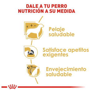 ALIMENTO SECO PARA PERROS RAZAS YOIRKSHIRE TERRIER 1KG ROYAL CANIN