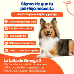 ACEITE DE SALMON PURO 240ML DOGELTHY