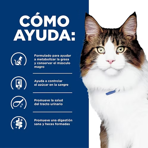 ALIMENTO HUMEDO PARA PERRO EN LATA SOPORTE PARA DIABETES W/D HILLS