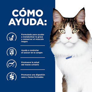ALIMENTO HUMEDO PARA PERRO EN LATA SOPORTE PARA DIABETES W/D HILLS