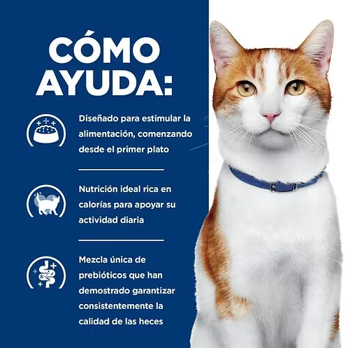 ALIMENTO SECO VETERINARIO PARA GATO CANCER ONC CARE 6.8 KG HILLS