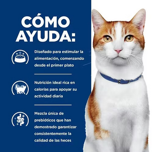 ALIMENTO HUMEDO PARA GATO APOYO CONTRA EL CANCER ONC HILLS