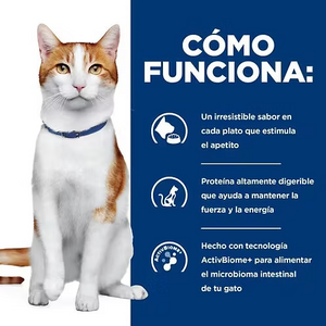 ALIMENTO HUMEDO PARA GATO APOYO CONTRA EL CANCER ONC HILLS