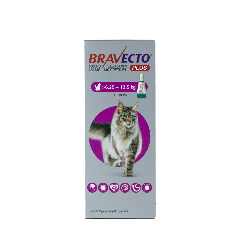 PIPETA ANTUPULGAS PLUS FOR CAT 500MG BRAVECTO
