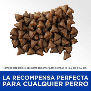 PREMIOS PARA PERRO DE ENTRENAMIENTO HILLS