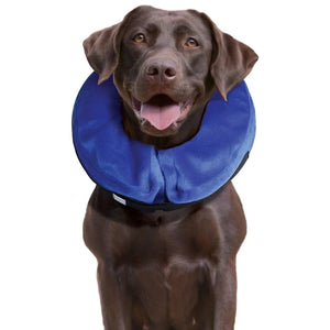 COLLAR DE RECUPERACIÓN GRANDE KONG