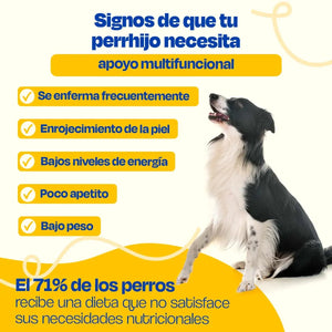 MULTIVITAMINICO PARA MASCOTAS 270GR DOGELTHY