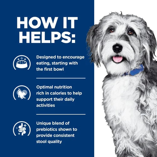 ALIMENTO HUMEDO PARA PERRO APOYO CONTRA EL CANCER ONC HILLS