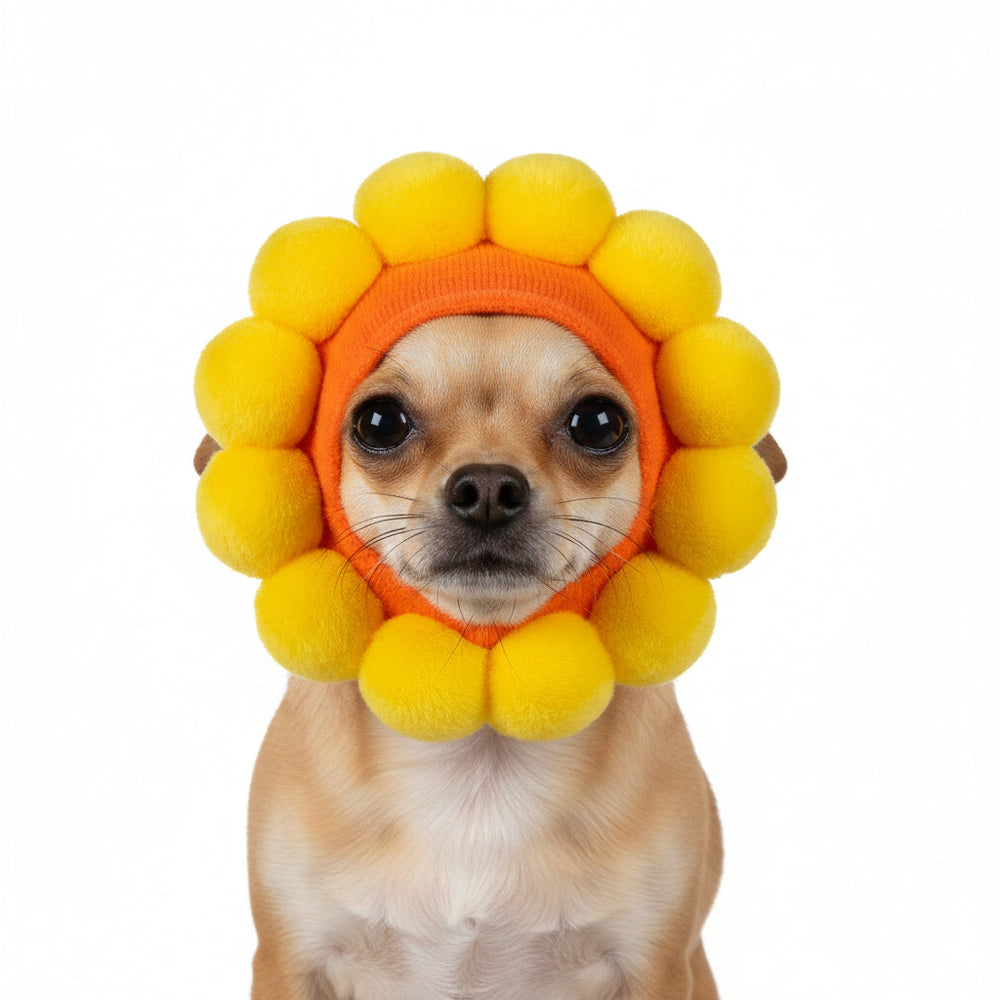 GORRO PARA MASCOTAS EN FORMA DE GIRASOL SMARTLOVE