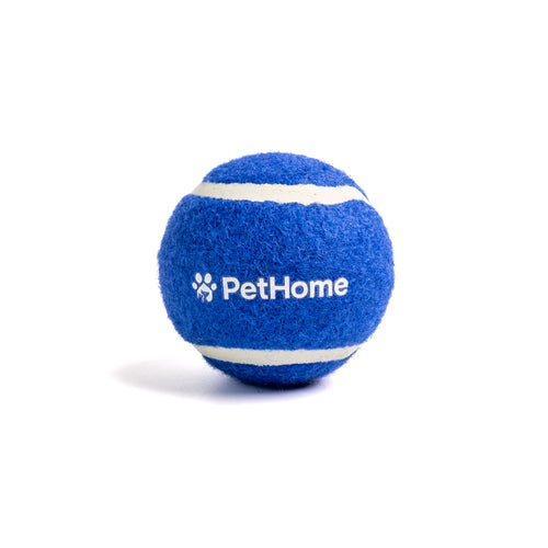 PELOTA DE TENIS PARA PERRO VARIOS COLORES PETHOME