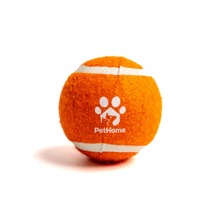 PELOTA DE TENIS PARA PERRO VARIOS COLORES PETHOME