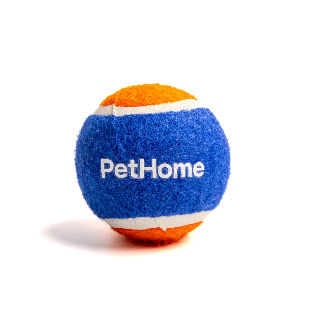 PELOTA DE TENIS PARA PERRO VARIOS COLORES PETHOME