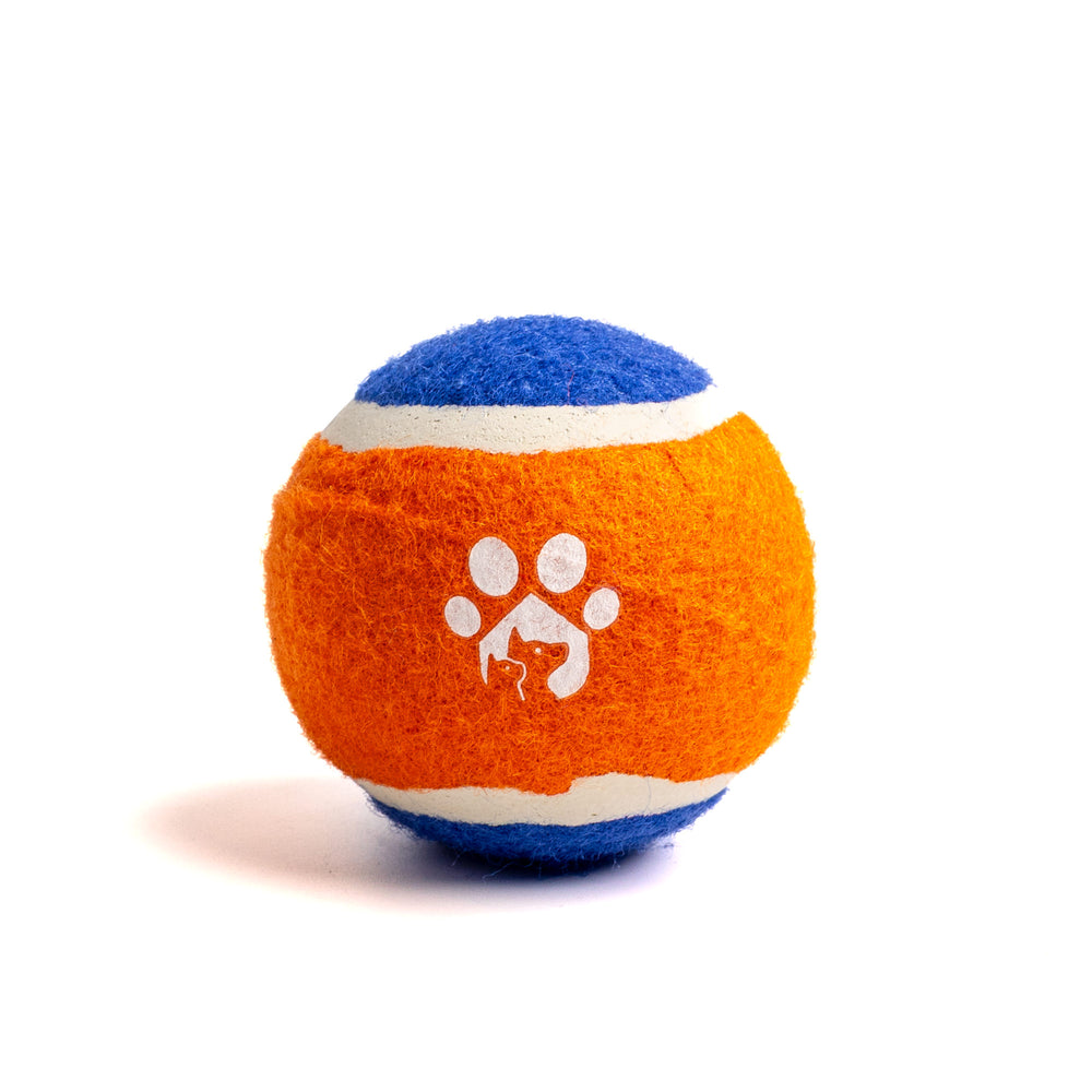 PELOTA DE TENIS PARA PERRO VARIOS COLORES PETHOME