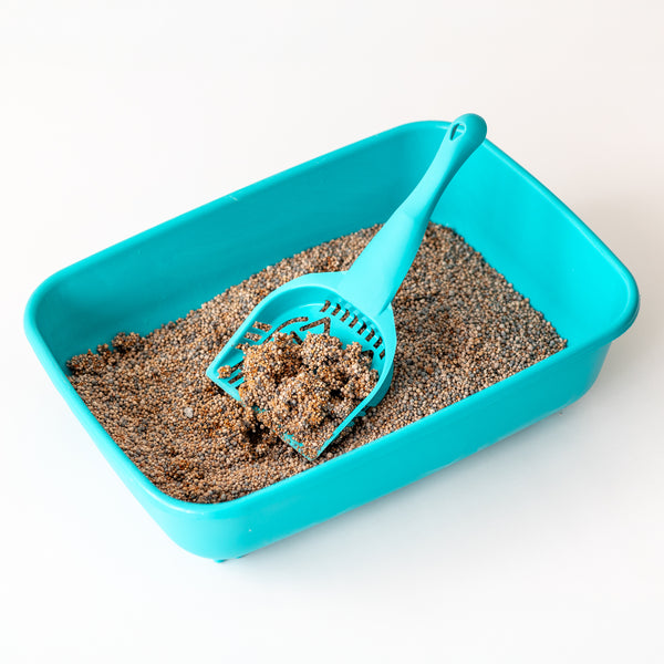 ARENA PARA GATO AGLUTINANTE 10KG PETCAT