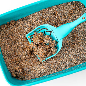 ARENA PARA GATO AGLUTINANTE 10KG PETCAT