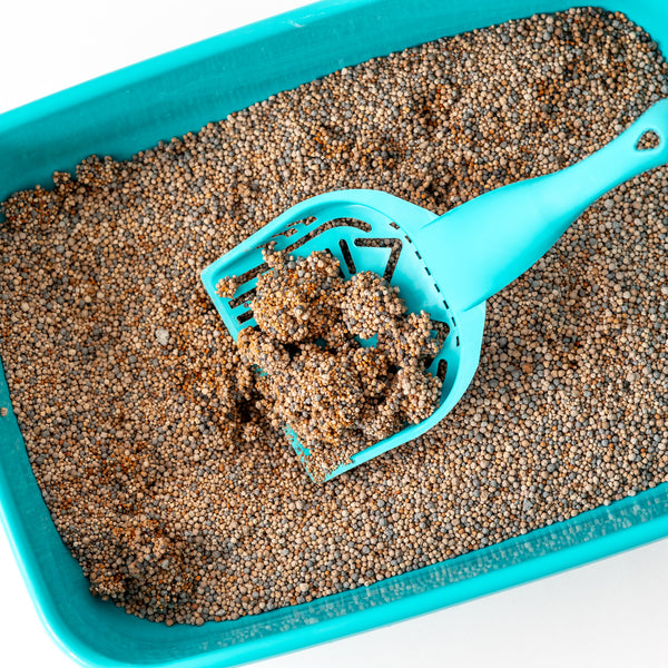 ARENA PARA GATO AGLUTINANTE 5KG PETCAT