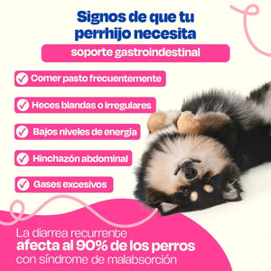 SUPLEMENTO PROBIOTICOS PARA EL SISTEMA 270GR INMUNE DOGELTHY
